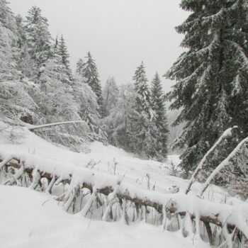 initiation ski de rando Charmant Som