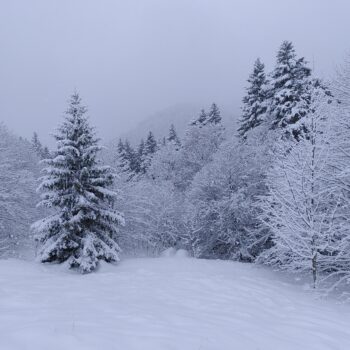 Sous la dent de Crolles